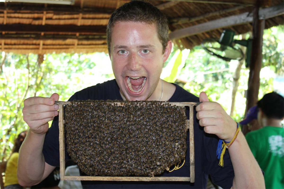 honey bee farm in the Mekong Delta