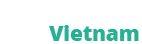 local vietnam logo