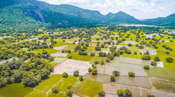 10 Most beautiful rice fields in Vietnam + best season 2024 | localvietnam