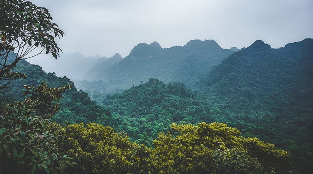 Cuc Phuong National Park