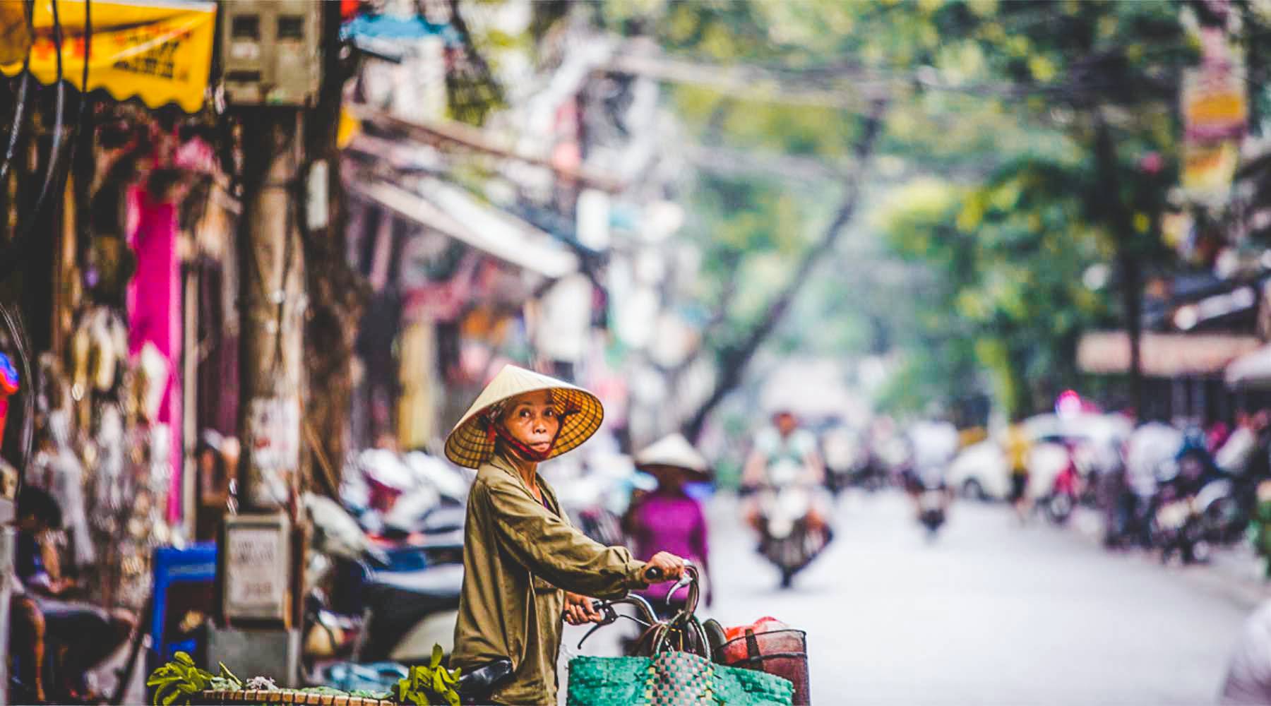 wandering through vietnamese culture pdf