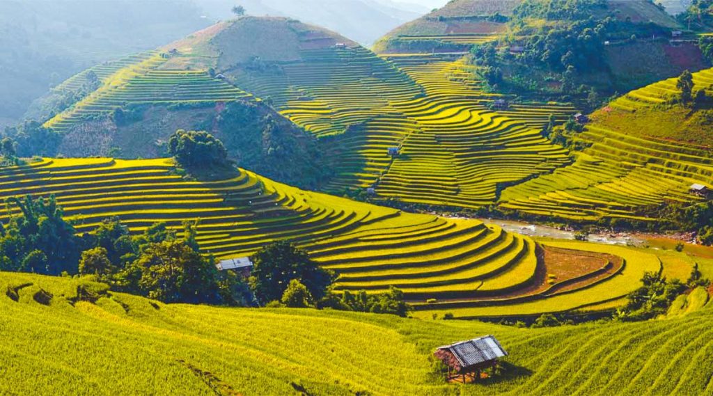 Mu Cang Chai