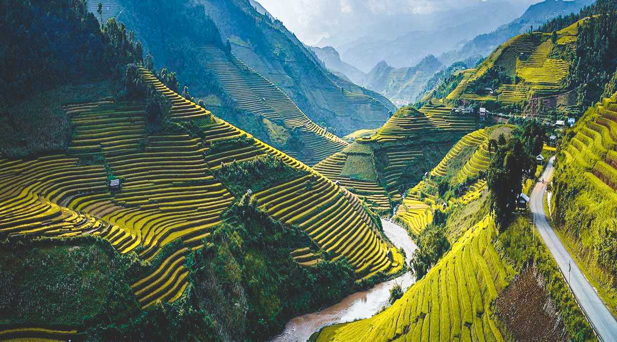 rice tourism in vietnam