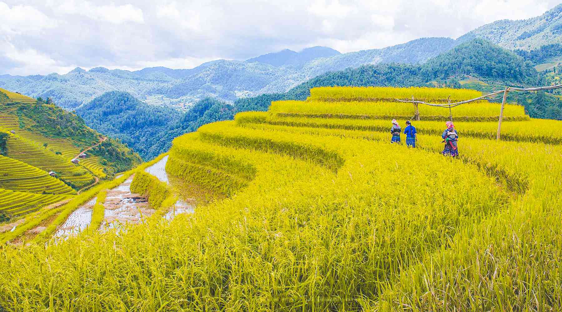 top-10-off-the-beaten-track-destinations-in-vietnam-2023-localvietnam