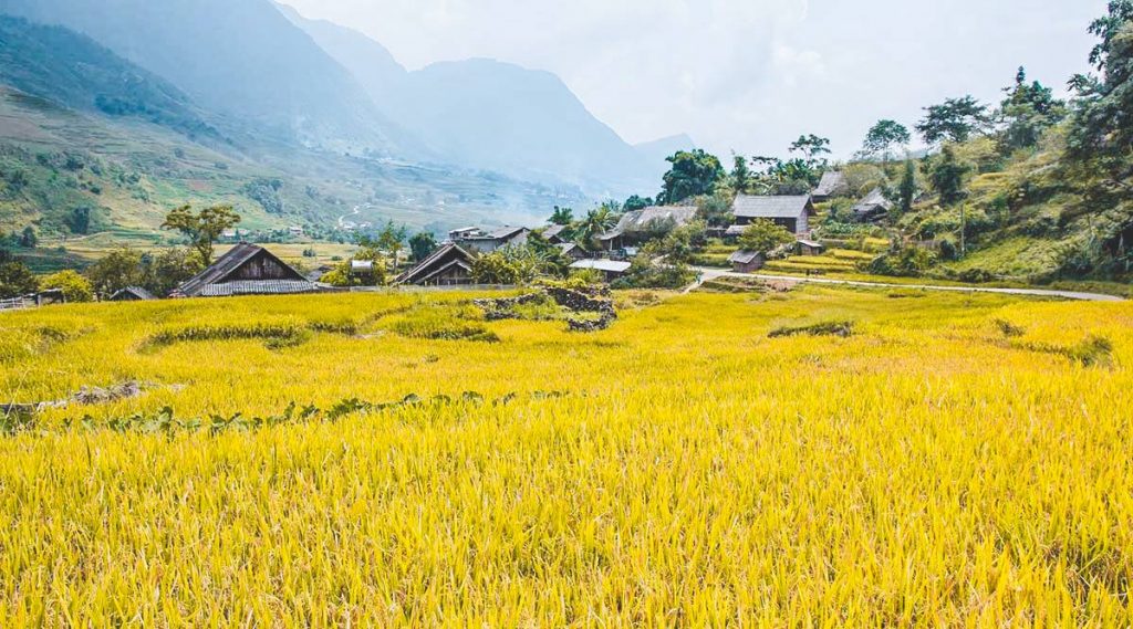 trekking Sapa