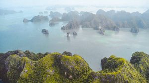best Halong Bay viewpoints