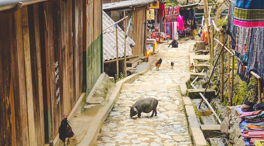 Cat Cat village