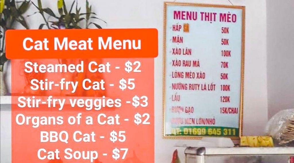 vietnamese cat meat