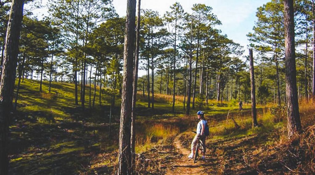 Crazy 8 mountain biking Dalat