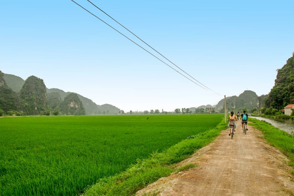 cycling through the countryside with rice fields of Ninh Binh