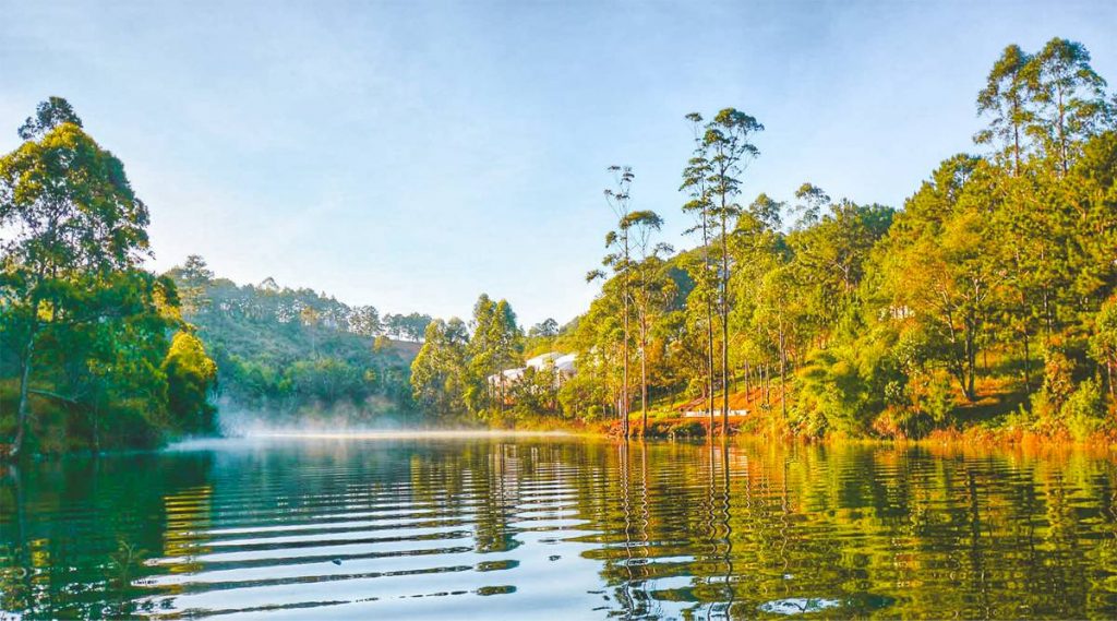 Jungle fever trekking and camping in Dalat