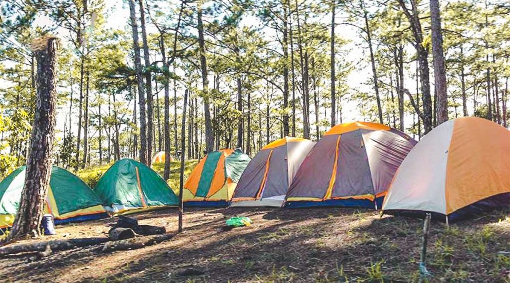 Jungle fever trekking and camping in Dalat