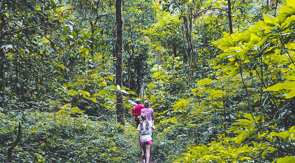 Jungle fever trekking and camping in Dalat