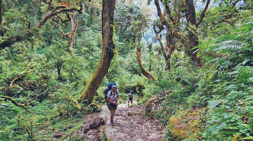 trekking Langbiang mountain