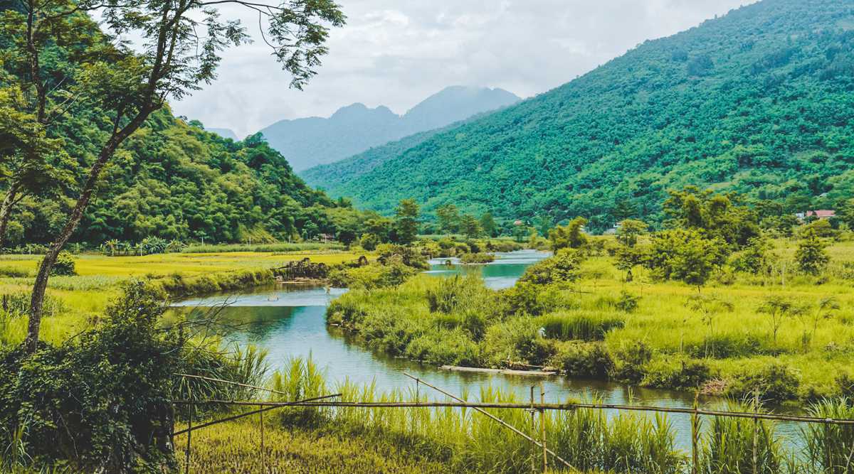 Pu Luong Nature Reserve & Ninh Binh 4 day