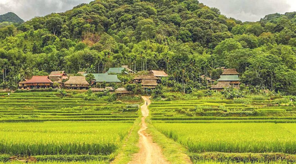 Pu Luong nature reserve