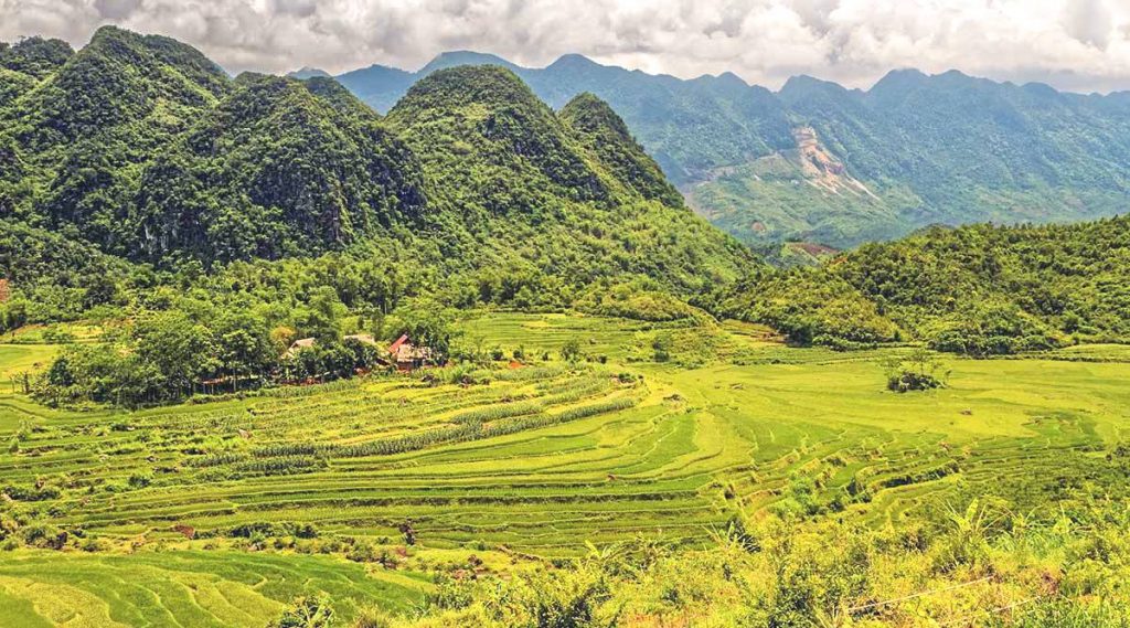 Pu Luong nature reserve rice terraces