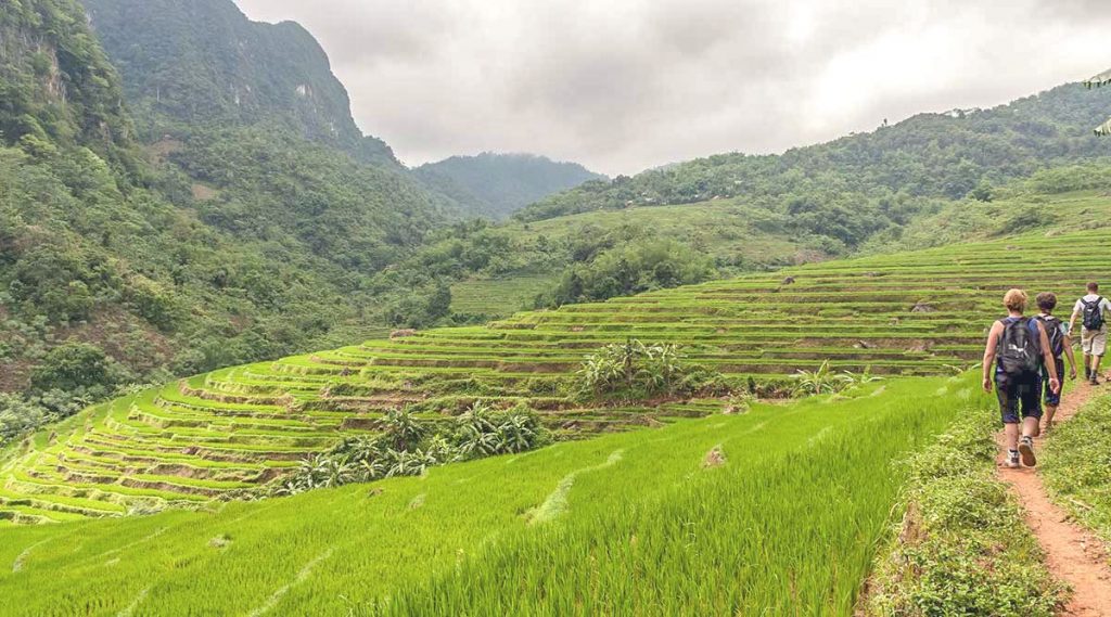 trekking and hiking in Pu Luong Nature Reserve