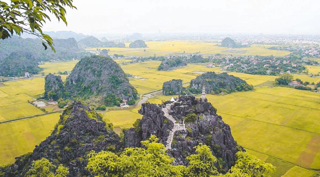 rice fields viewpoint Mua Cave