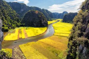 Rice fields and river of Tam Coc