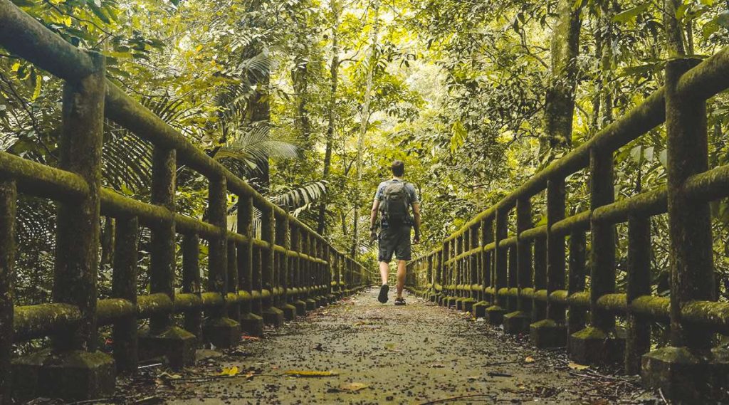 trekking in Cuc Phuong National Park