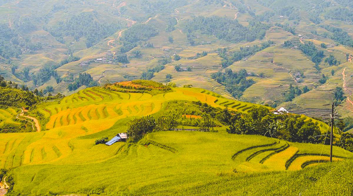 Homestay in Vietnam - 5 reasons why you should try it