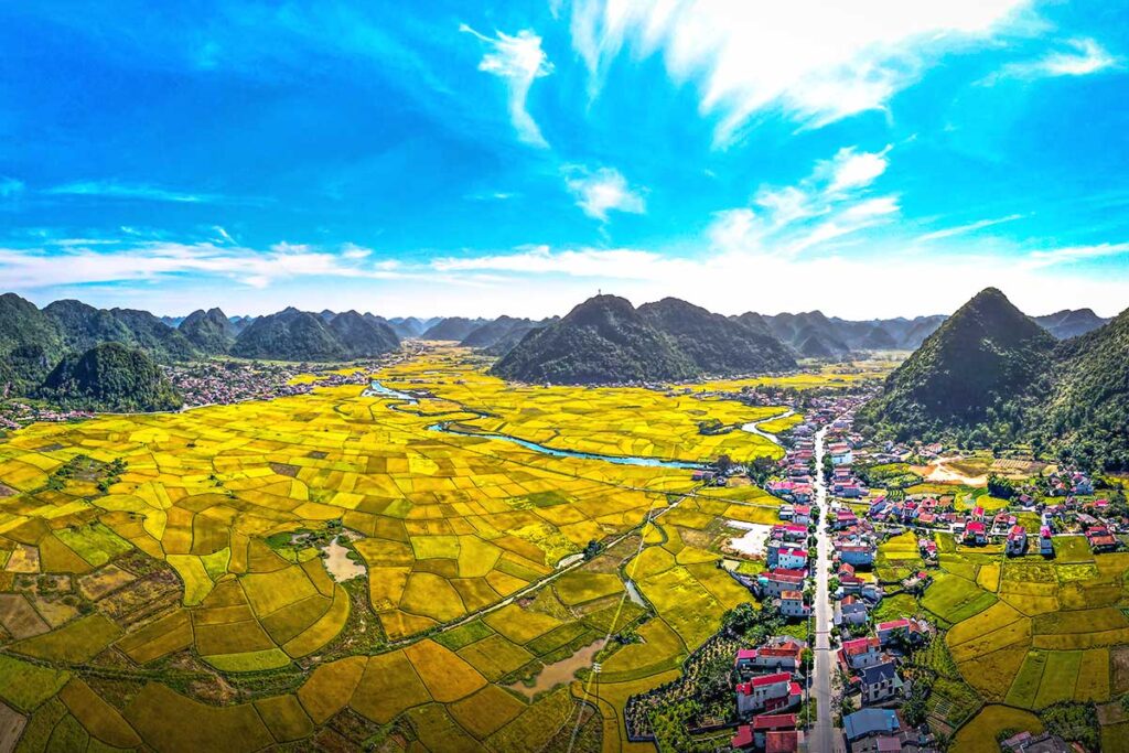 Bac Son Valley Rice Fields at Harvest Time: Golden rice paddies fill the vast Bac Son Valley in Lang Son, Vietnam, with a meandering stream and a traditional village nestled amidst the lush green mountains.