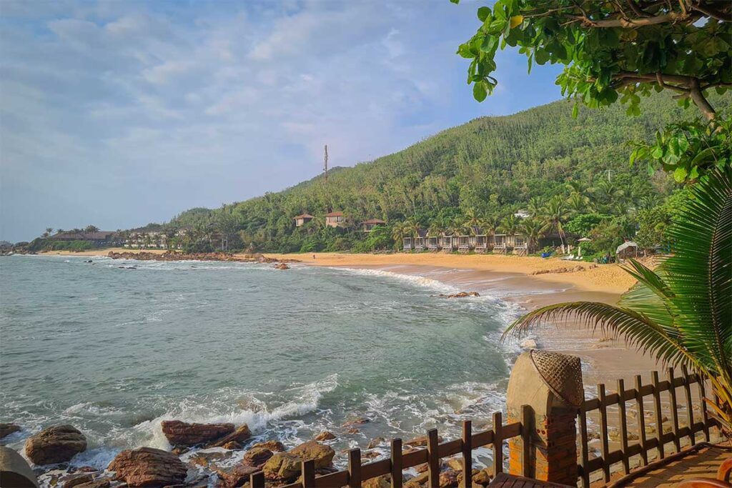Palm-fringed viewpoint overlooking Bai Xep Beach and fishing boats in the bay, offering one of the best views near Quy Nhon.