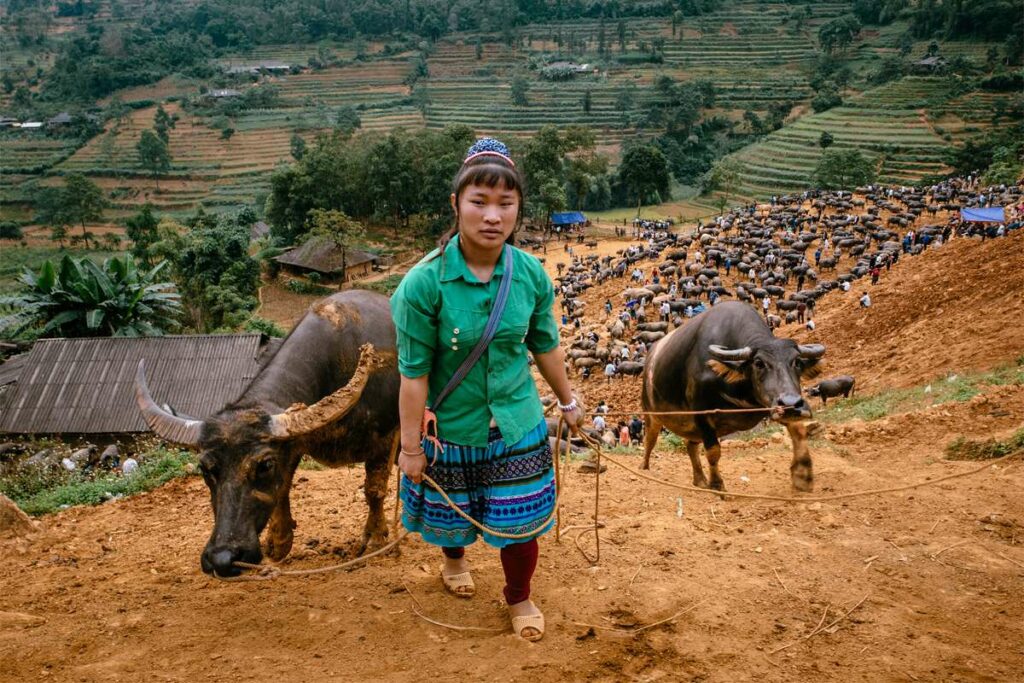 Can Cau market in Sapa