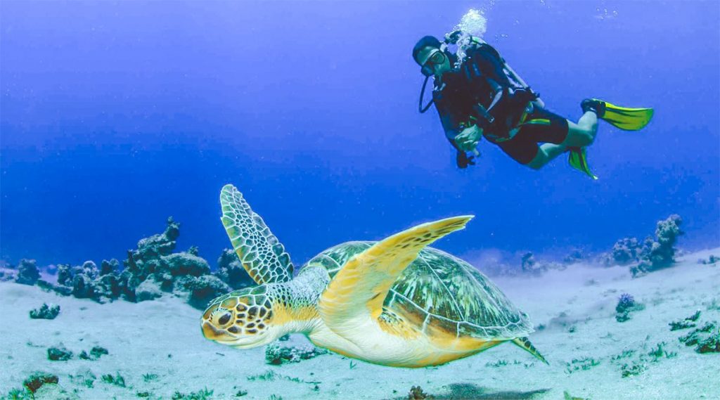 Diving in Con Dao