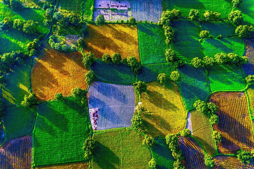 Ta Pa Rice Fields Aerial View: A vibrant mosaic of rice paddies in various stages of growth paints the landscape of Ta Pa, Vietnam, showcasing the rich agricultural diversity of the Mekong Delta.