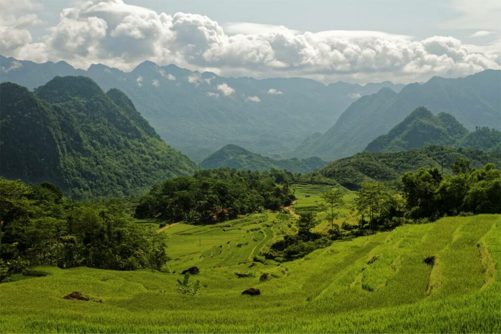 Rice terraces in Pu Luong