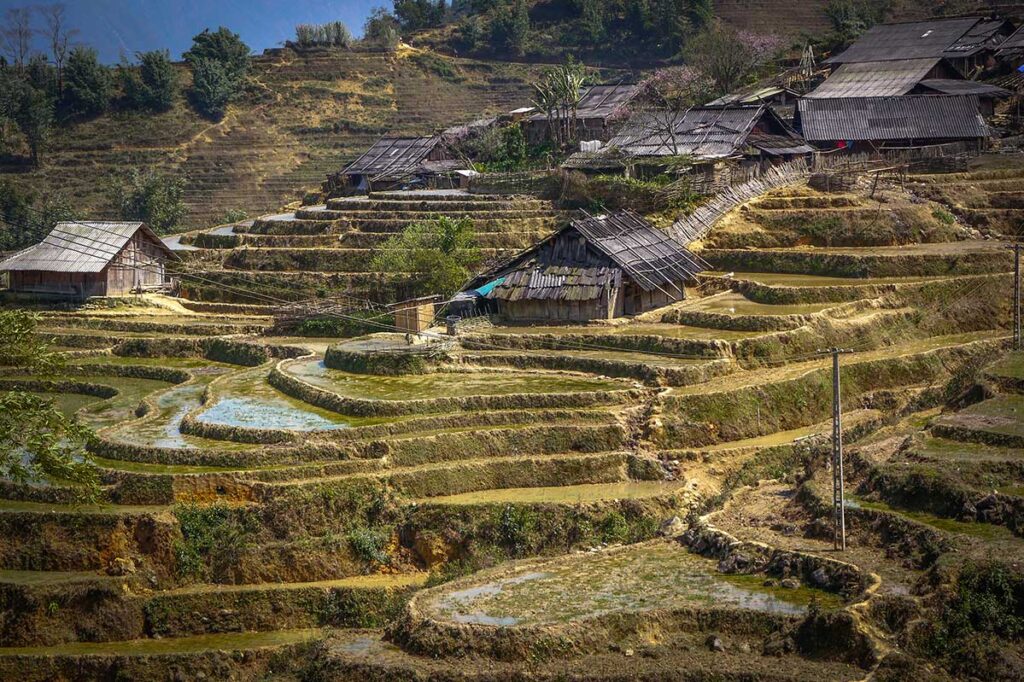 Sapa in February