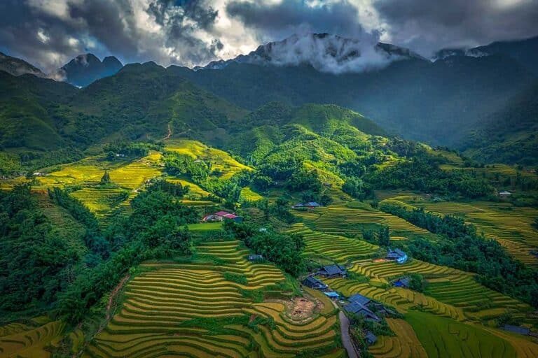 Sa Pa Rice Sapa in July - Weather & Best Things To Do