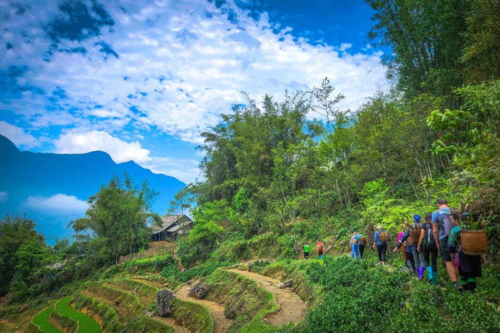 Tourist making a trekking  in Sapa through the terraced rice fields are joined with a group of ethnic minority woman that walk with them