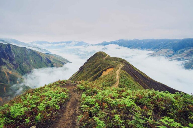 Ta Xua A Guide To The Land Above The Clouds Son La North Vietnam Ta Xua A Guide To The Land Above The Clouds Son La North Vietnam