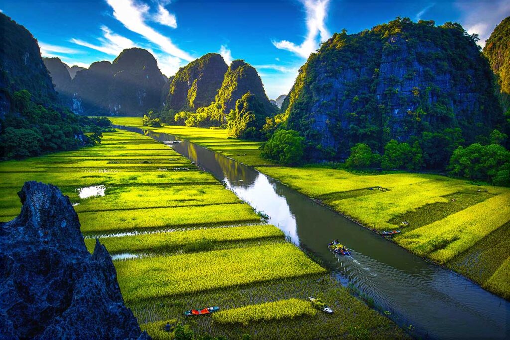 A view of the stunning rice fields along the river in Tam Coc, explored during a boat tour.