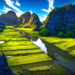 A view of the stunning rice fields along the river in Tam Coc, explored during a boat tour.