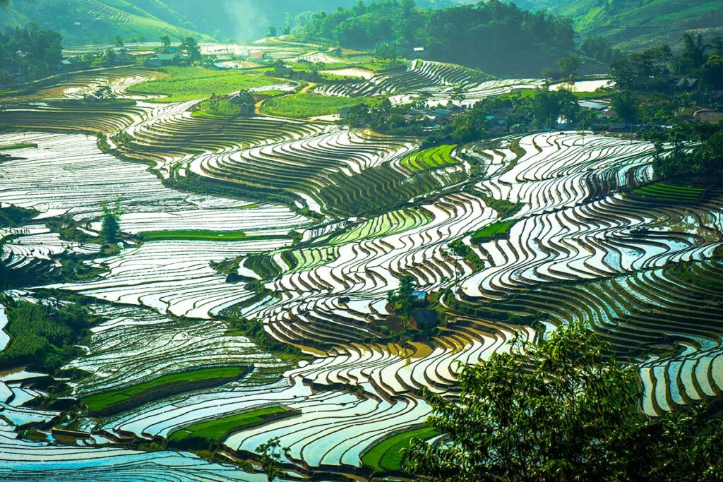 Y Ty Rice Terraces in May: Shimmering water mirrors reflect the sky in the terraced rice fields of Y Ty, Vietnam, creating a mesmerizing spectacle.