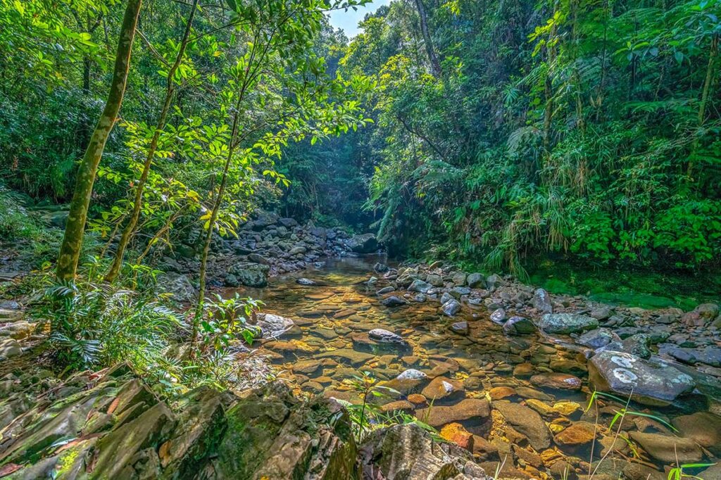 A stream through Bach Ma National Park that you see during the Five Lake trekking route