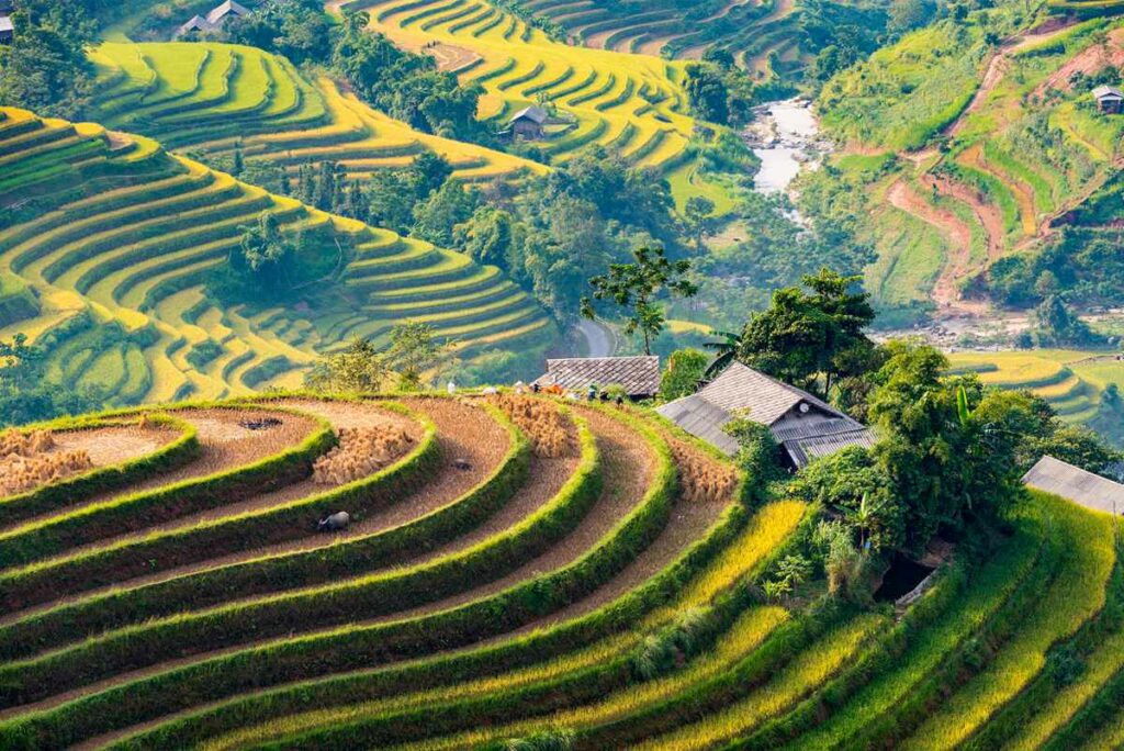 Ban Luoc in Hoang Su Phi