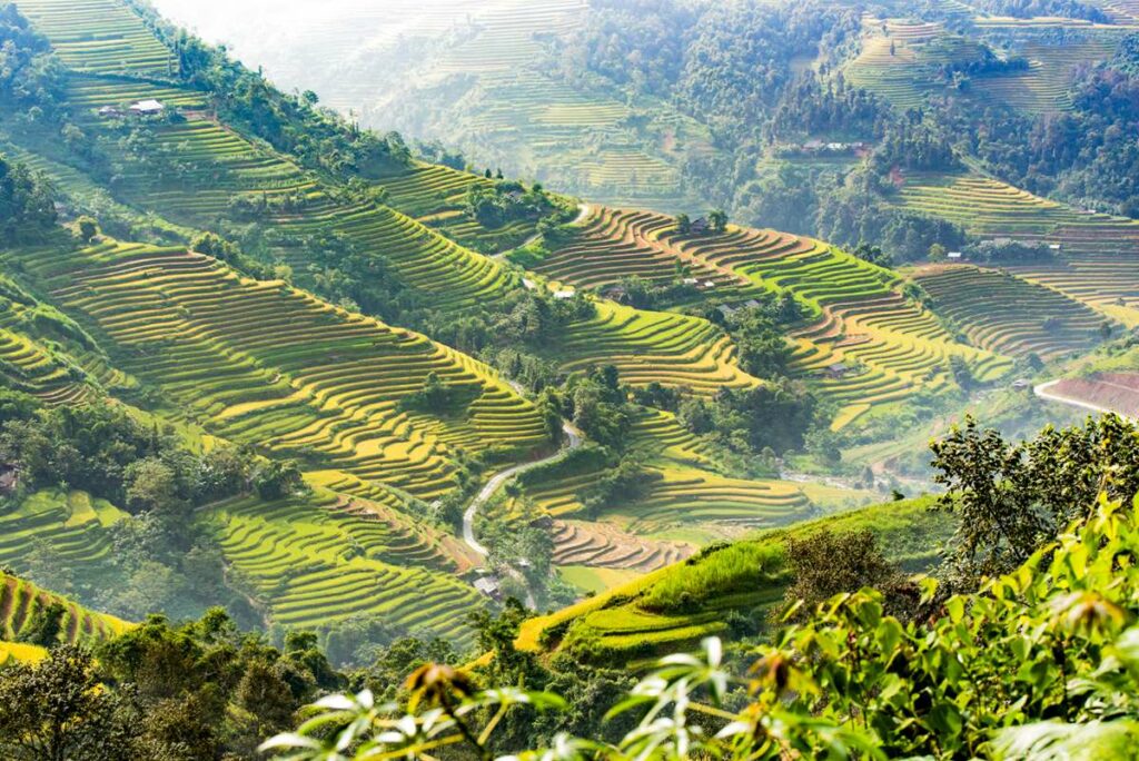 Ban Luoc in Hoang Su Phi