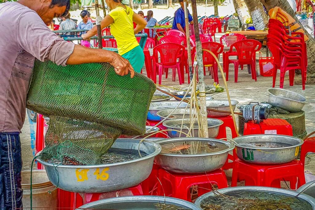 Local man handling fresh seafood at Cham Island’s small harbor market, where daily catches are prepared for island restaurants.