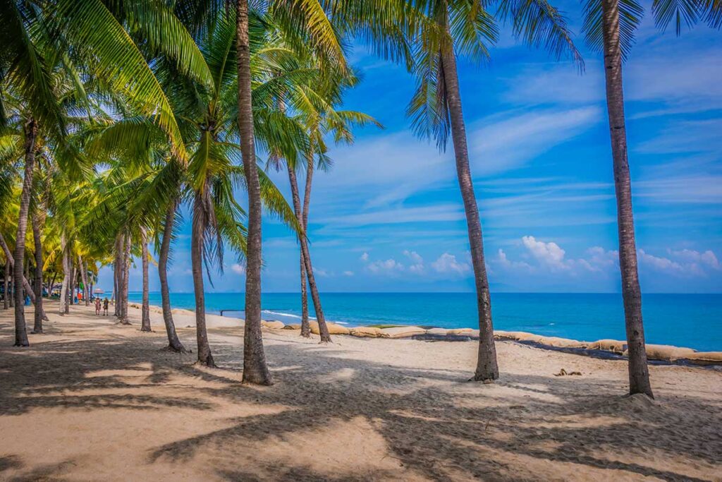 Tranquil seaside view through palm trees at Cua Dai Beach in Hoi An, Vietnam