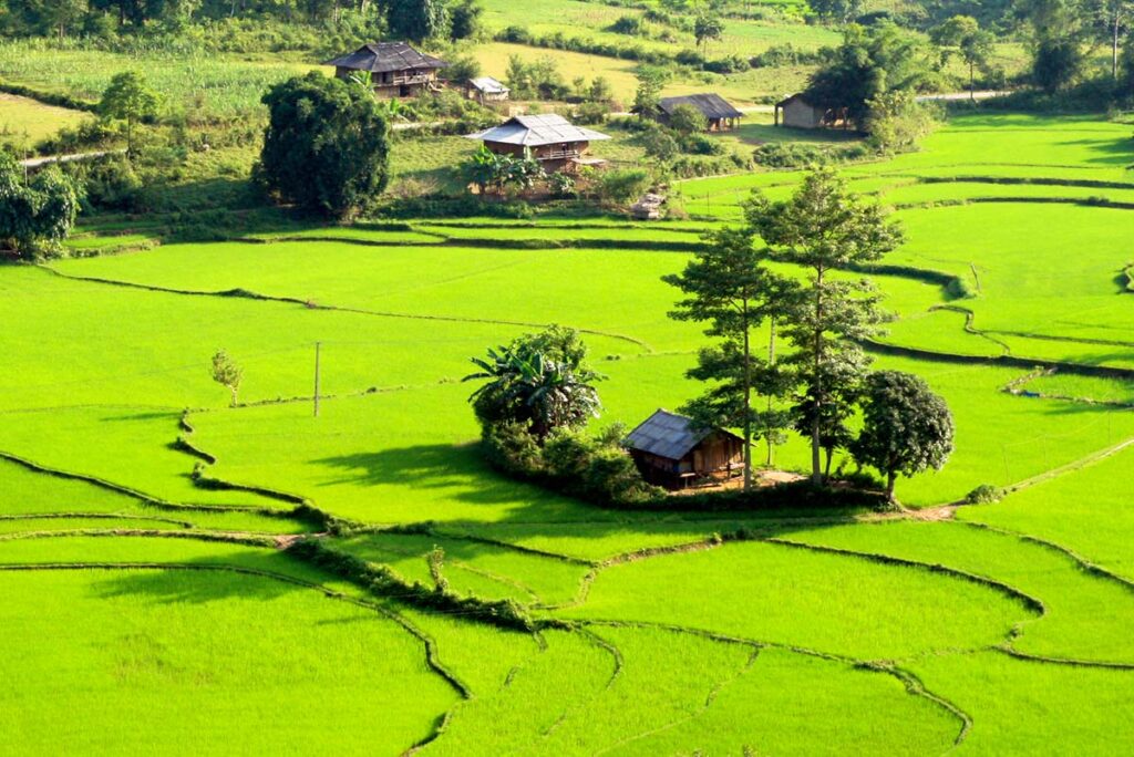 A view of Du Gia with green rice fields and stilt houses of ethnic Tay people