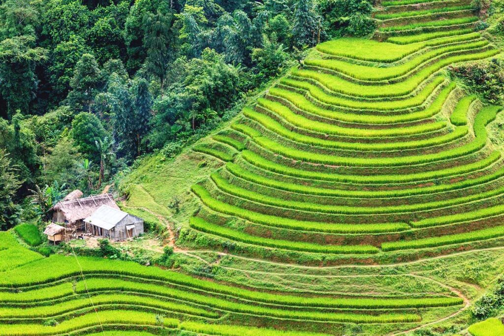 Hoang Su Phi in August, showcasing deep green rice terraces stacked in multiple layers, creating a breathtaking landscape.