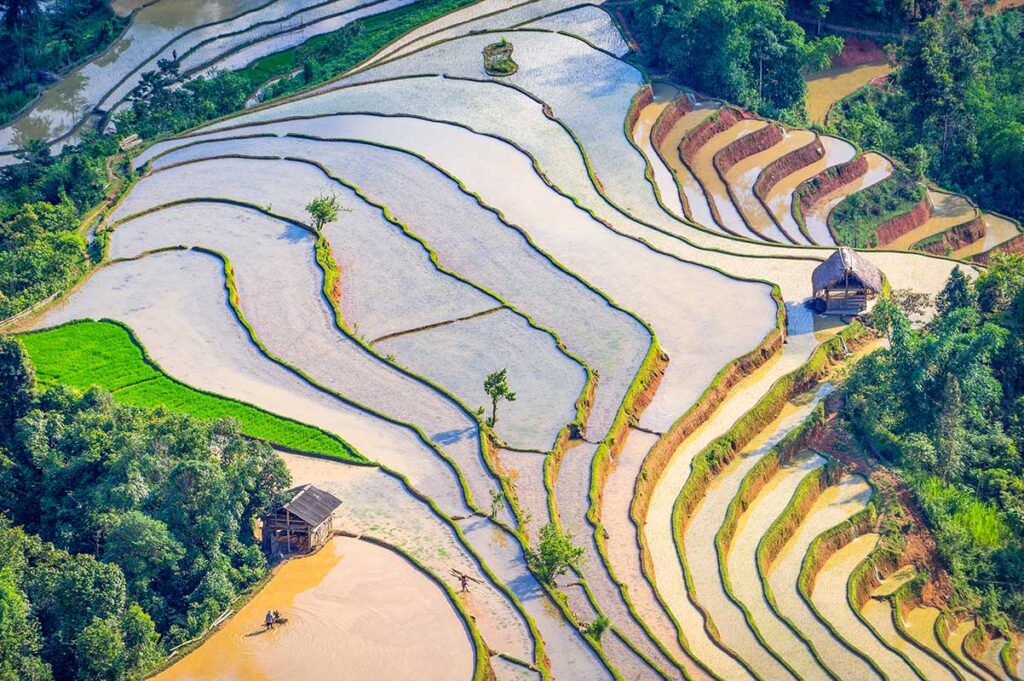 Aerial view of Hoang Su Phi's terraced rice fields in May, filled with water reflecting the sky, creating a stunning mirror effect.