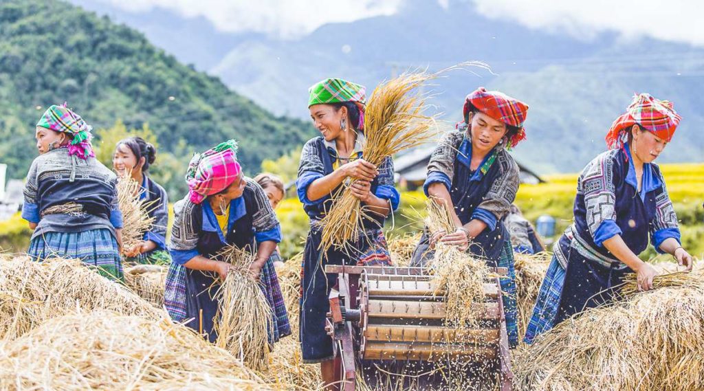 minorities in Mu Cang Chai