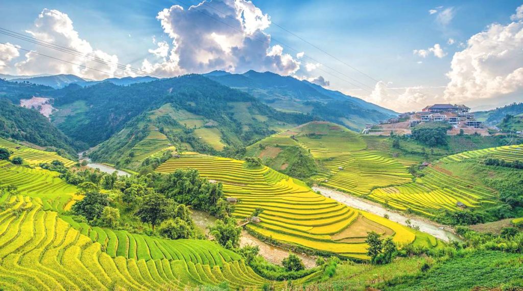 Mu Cang Chai tour - 4 day trekking & homestay experience | localvietnam