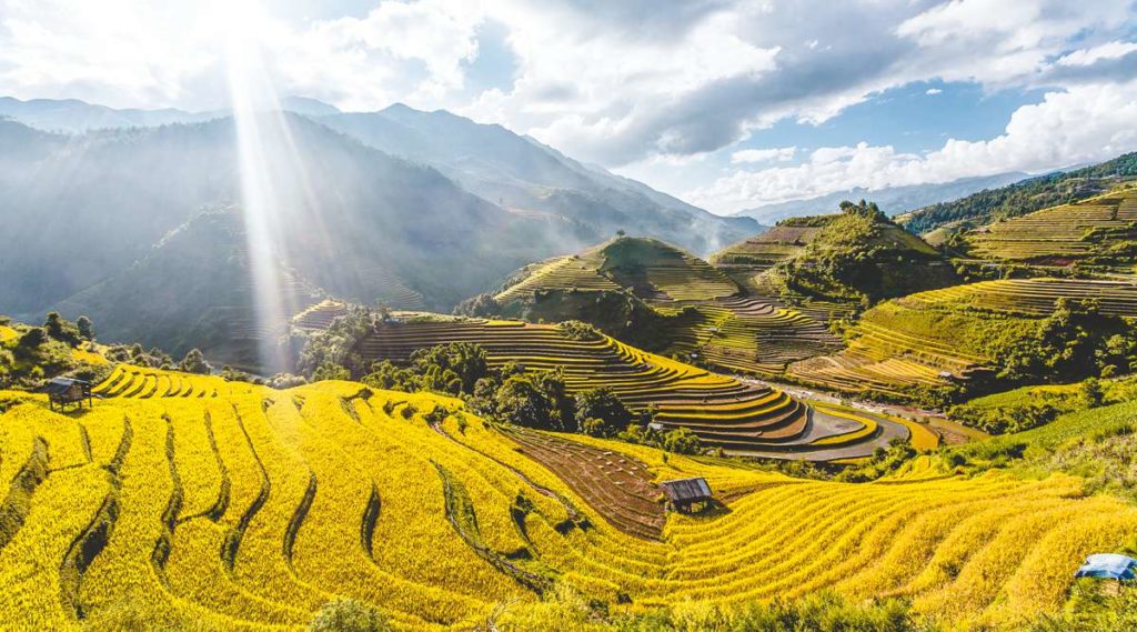 Mu Cang Chai trekking